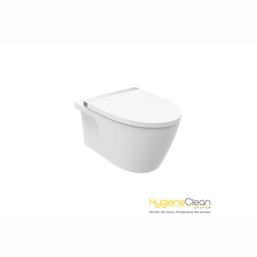 新阿卡西亞4/6升節(jié)水型掛廁